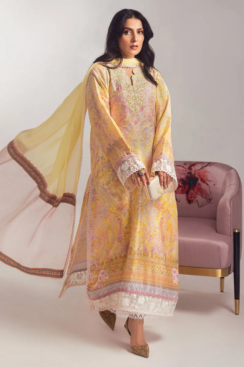 Ayeza Luxury Silk '24 - Aahana