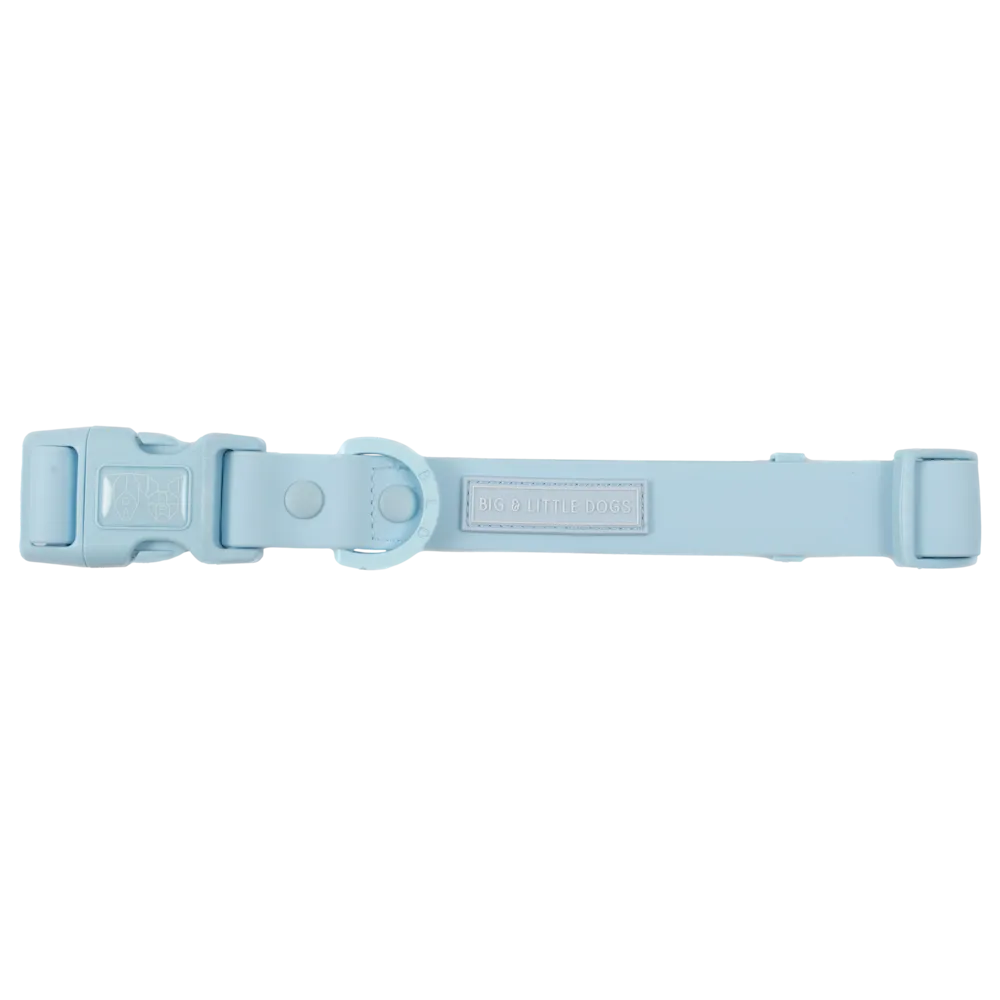 Big & Little Dogs Waterproof Dog Collar - Blue