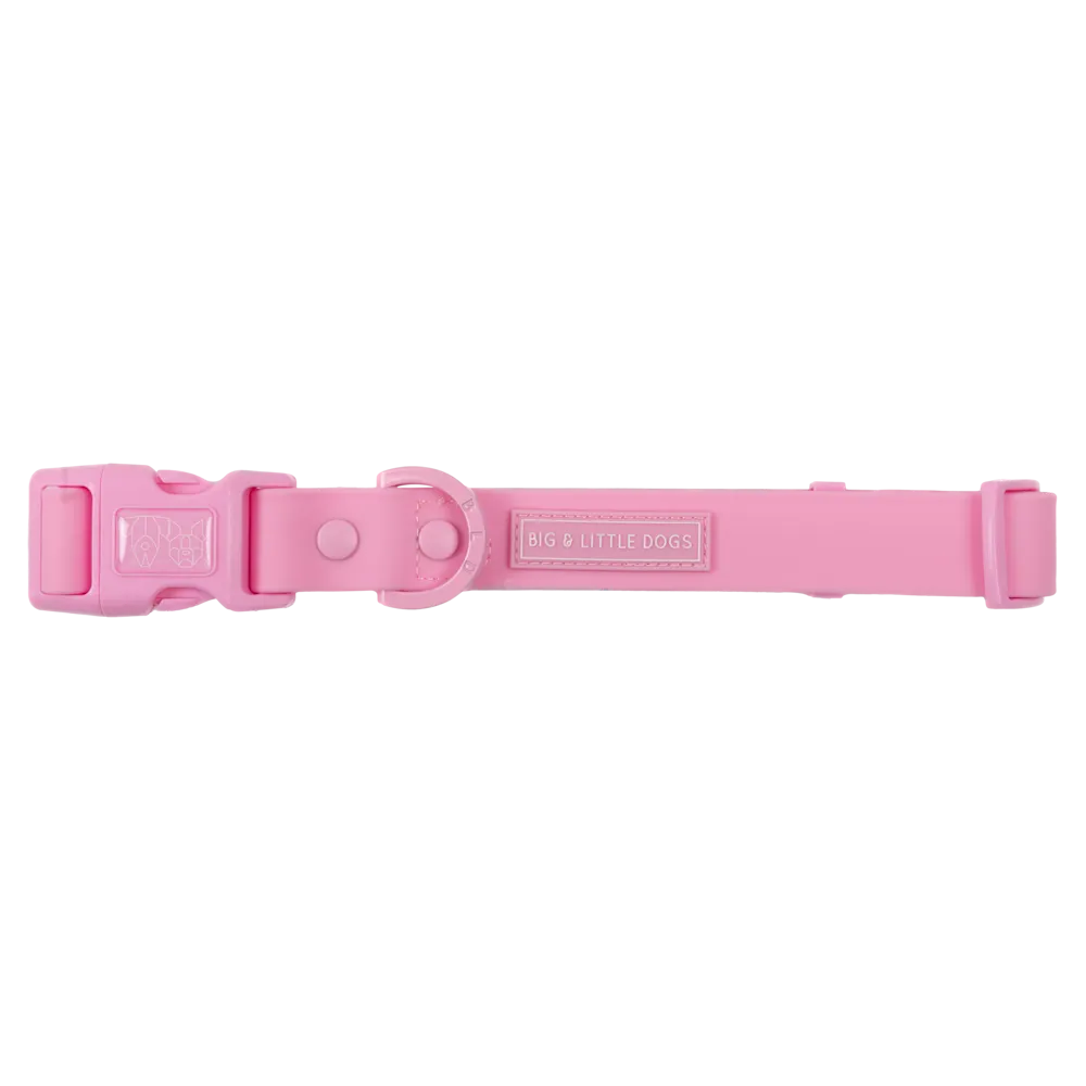 Big & Little Dogs Waterproof Dog Collar - Pink