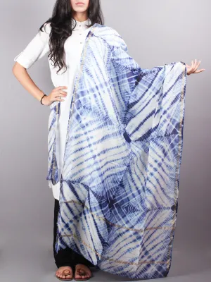 Indigo White Chanderi Shibori Dyed in Natural Colors Dupatta- D0417048