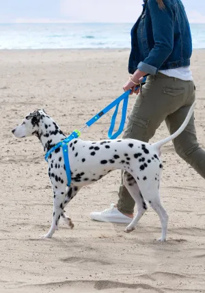 Peloton x Canada Pooch Waterproof Leash