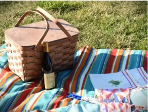 Picnic Cloths