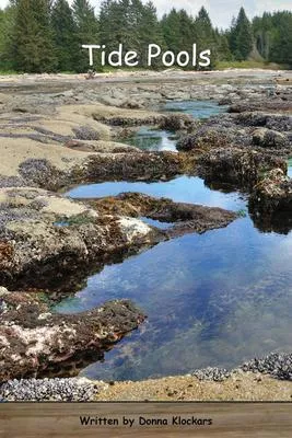 Strong Readers Set B Level 18 - Tide pools