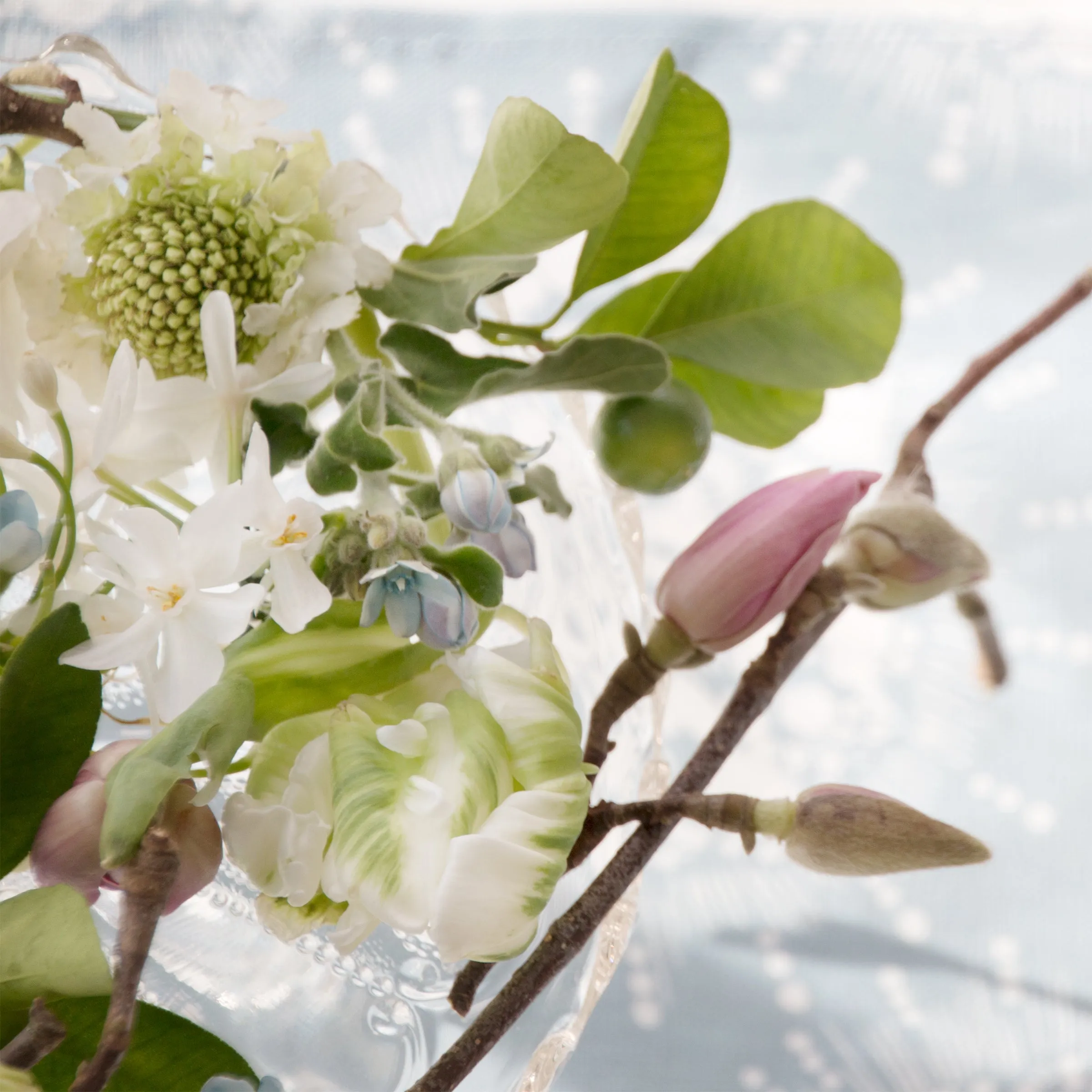 table linen, "circle burst", periwinkle and white, fringed