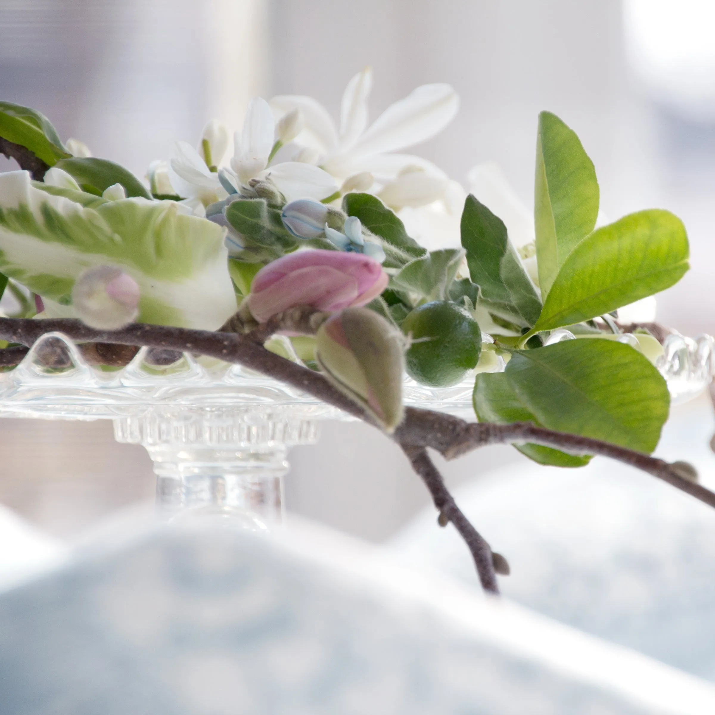 table linen, "circle burst", periwinkle and white, fringed